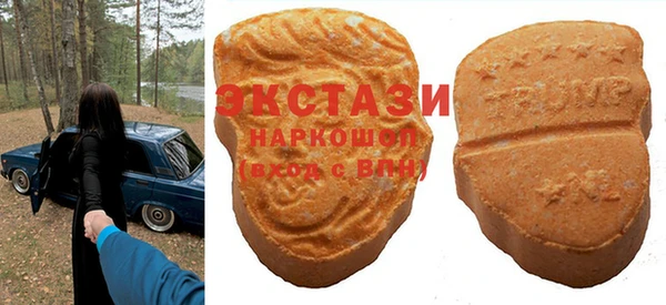 ECSTASY Богданович